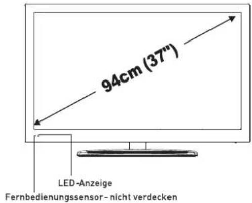 SEG Los AngelesB - LED-Bildschirm - 2