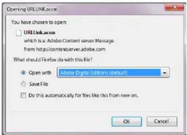 TrekStor Pyrus Mini - Tresci Adobe® DRM (zabezmieczone przyd kopiowaniem pliki PDF lub ePUB) - 1