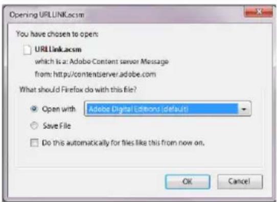TrekStor Liro Ink - Adobe® DRM-innehåll (kopieringsskyddade PDF och ePUB) - 1