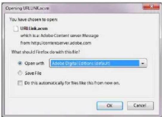 TrekStor Liro Ink - Contenuto DRM Adobe® (PDF e ePUB protetti da copia) - 1