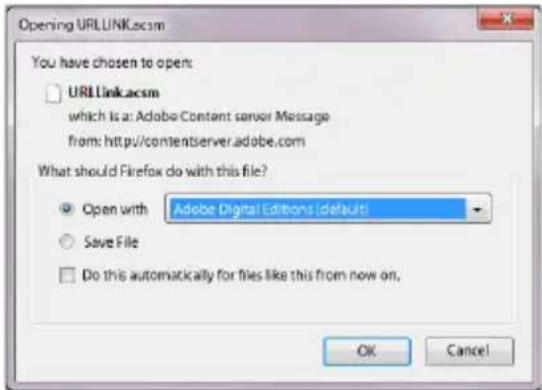 TrekStor Liro Ink - Contenus soumis à la gestion numérique des droits Adobe® (fichiers PDF et ePUB protégés contre la copie) - 1