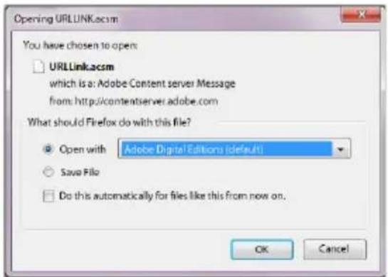 TrekStor Liro Ink - Conteúdo de DRM da Adobe® (PDFs e ePUBs com proteção contra cópia) - 1