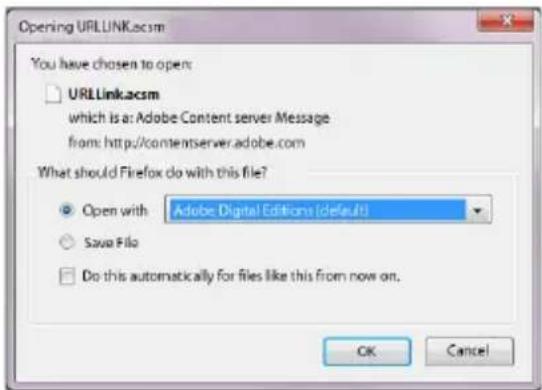 TrekStor Liro Ink - Contenido de Adobe® DRM (copia protegida en formato PDFs y ePUBs) - 1