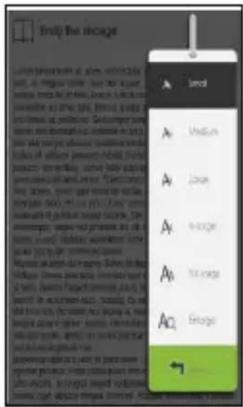 TrekStor eBookReader 3.0 - Régler la taille de la police - 1