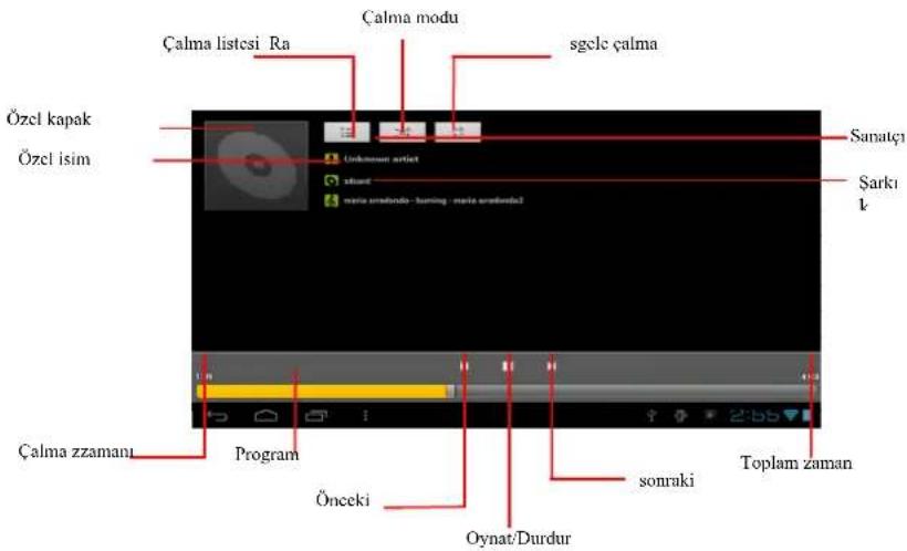 PRESTIGIO MultiReader Stream 5574 - Müzik Kütüphanesi - 2