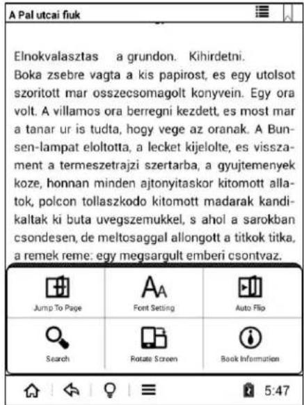 Icarus Illumina E654 - Lecture menu des options: - 1