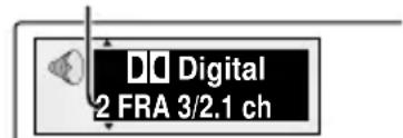 PANASONIC DVDLV57 - Appuyer sur [AUDIO]. - 1