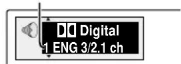 PANASONIC DVDLV57 - Soundtracks - 1