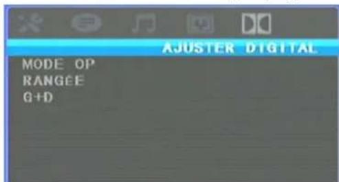 SEG DPP 1126070 TWIN - 5) DIGITAL SETUP (CONFIGURATION NUMÉRIQUE) - 1