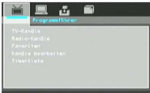 SEG DPP 1126070 TWIN - Programmführer - 1
