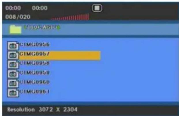 XORO HSD 7790 - JPEG disc compatibility with this player is limited as follows - 1