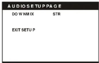 Ricatech RDPDVD900 - AUDIO SETUP - 1
