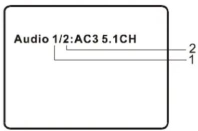 SALORA DVP9010 - 3.AUDIO - 1