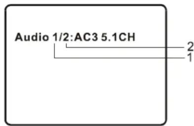 SALORA DVP9010 - AUDIO - 1