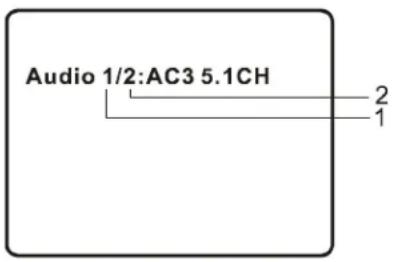 SALORA DVP9010 - AUDIO - 1