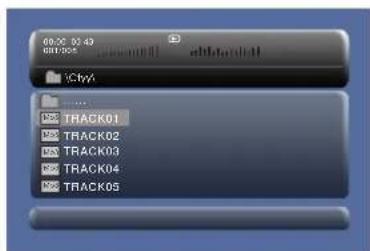 SALORA DVP7748DUO GC - Mode Browser - 1