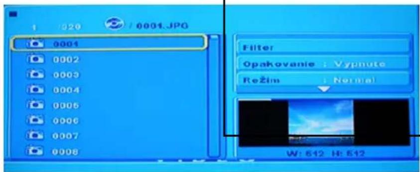 PROLINE DVDP763W - - Použivanie funkcie zobrazenia - 1