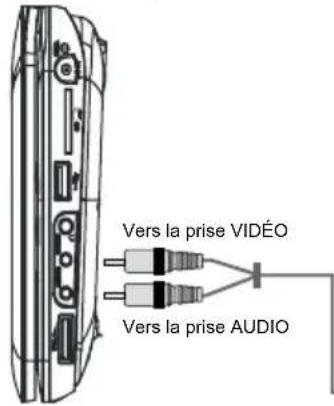 PROLINE DVDP770 - BRANCHEMENTS - 1
