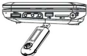 PROLINE DVDP770 - Connessione USB - 1