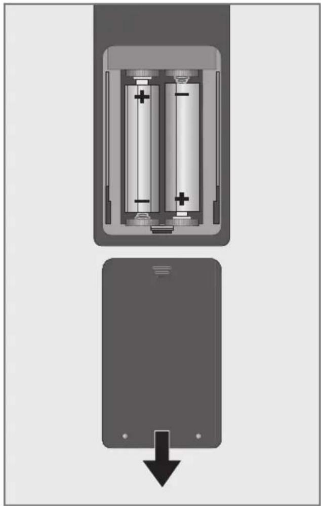GRUNDIG Fine Arts 65 FLX 9591 SP Short - Insertion des piles dans la télécommande - 1