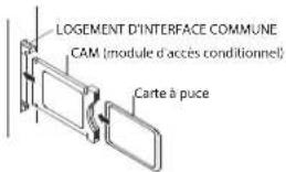HAIER LE50M600SF - Avertissement - 1