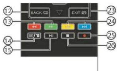 HAIER LE50M600SF - Registrar un programme DTV in pausa in un dispositivo di archivazione USB - 1