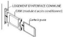 HAIER LE39M600SF - Avertissement - 1