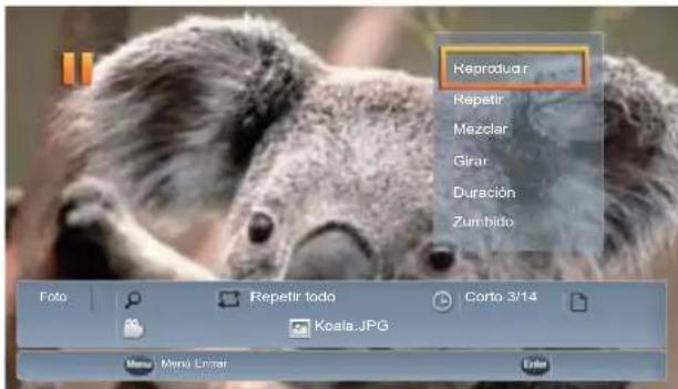 HAIER LE32F600C - Modo Photo - 1