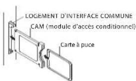 HAIER LE28M500C - Avertissement - 2