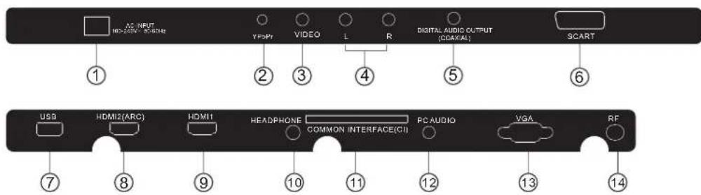HAIER LE24M600CF - TV-Anschlussfeld(32") - 1