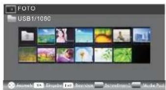 HAIER LE24M600CF - USB-Player - 3