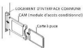 HAIER LE28M600C - Avertissement - 2