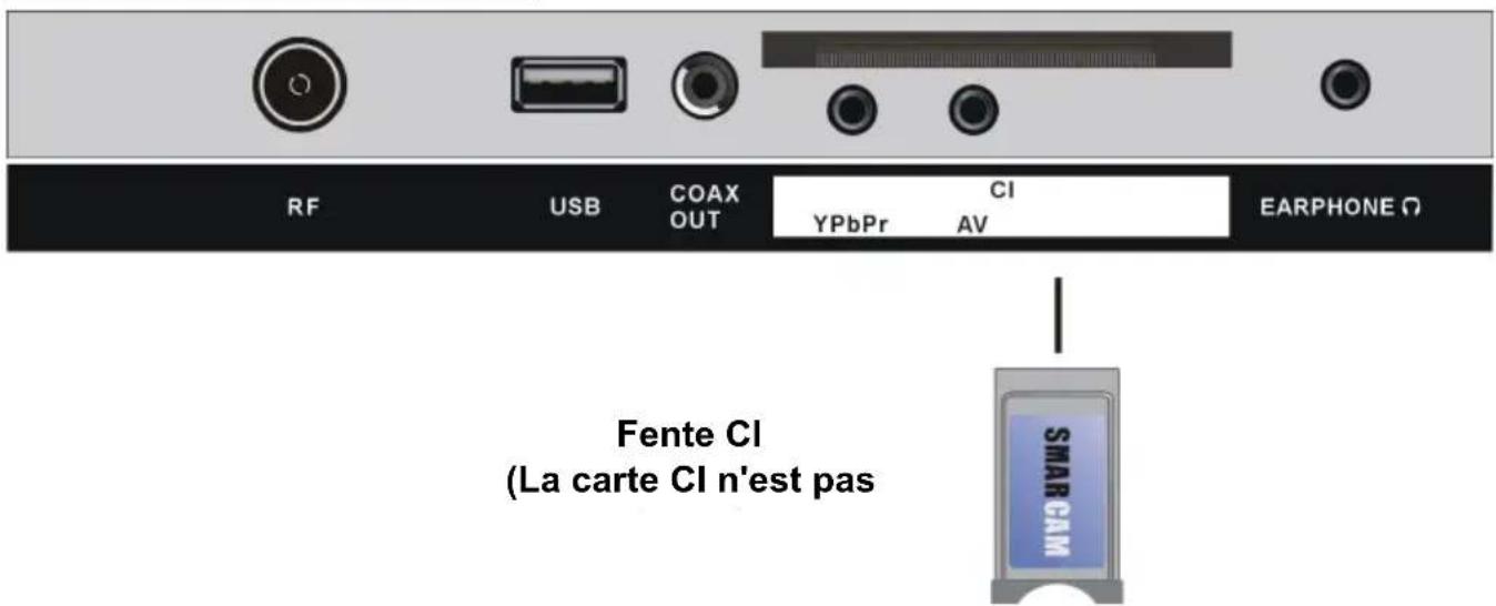 DUAL DLTQL40F4001 - Terminal d'entrée USB - 2