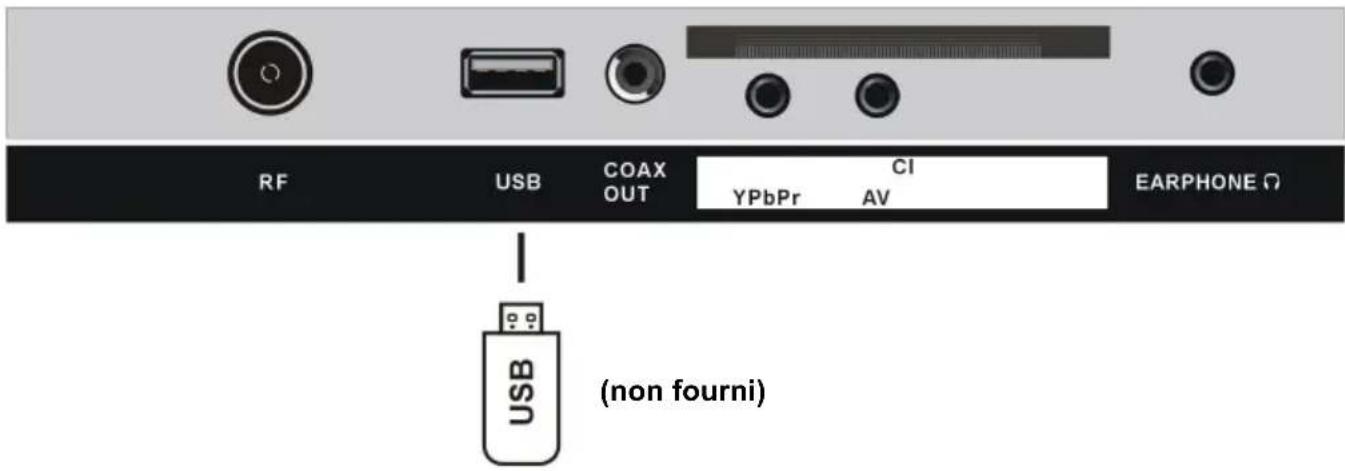 DUAL DLTQL40F4001 - Terminal d'entrée USB - 1