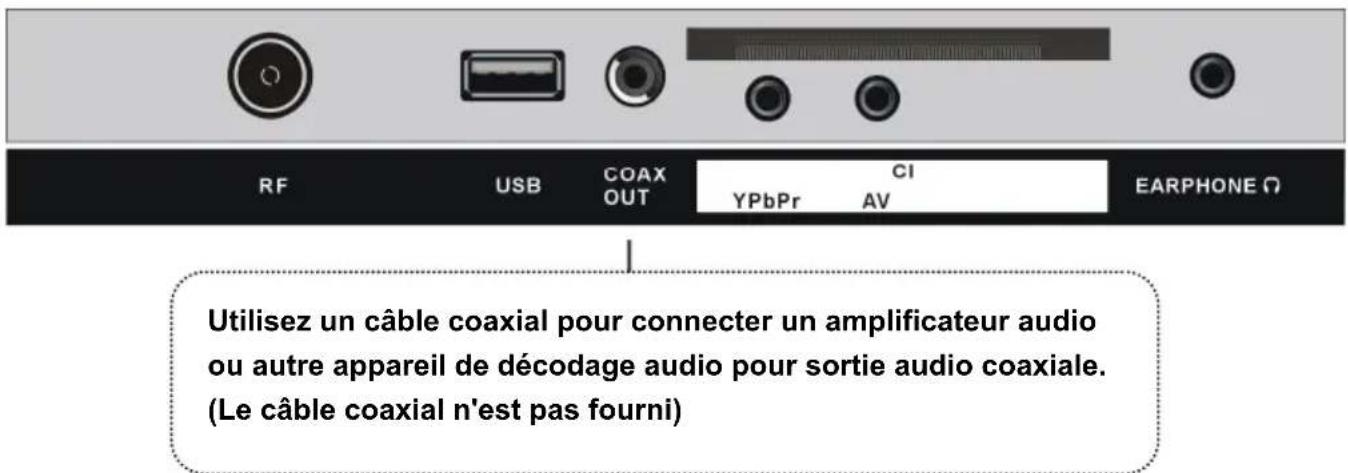 DUAL DLTQL40F4001 - Connexion coaxiale - 1