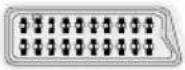 DUAL 22970 LED - Affichage des connecteurs - 1