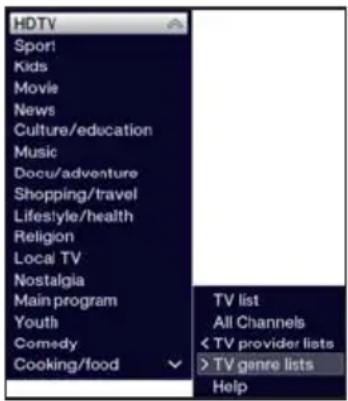 TECHNISAT TechniVision 32 HD - Option selection - 2