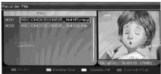 Ricatech RLEDTV24 - FILE MANAGER - 1