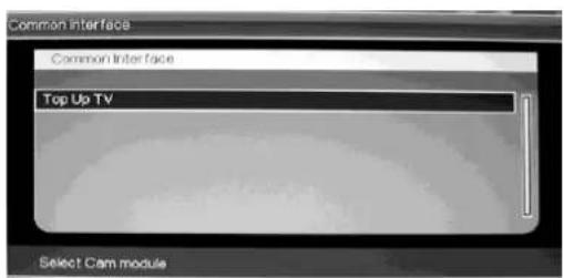 Ricatech RLEDTV24 - CI Operation (Optional) - 1