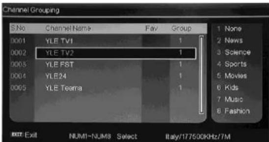Ricatech RLEDTV24 - CHANNEL.GROUPING window - 3