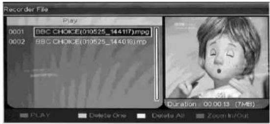 Ricatech RLEDTV24 - DATEIMANAGER - 1