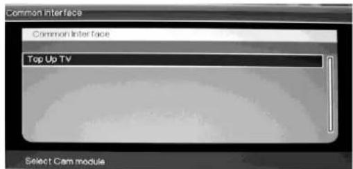 Ricatech RLEDTV24 - CI Betrieb (Optional) - 1