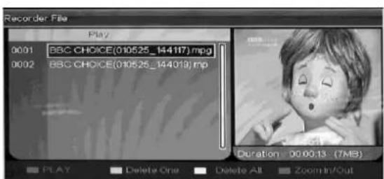 Ricatech RLEDTV24 - PVR Opration (Optional) - 2