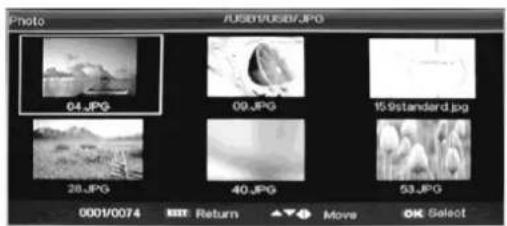 Ricatech RLEDTV24 - MEDIA Features - 4