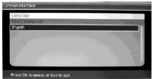 Ricatech RLEDTV24 - CI Operation (Optional) - 5