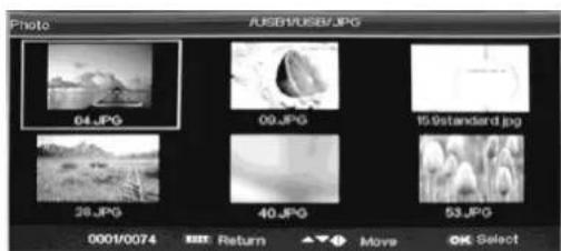 Ricatech RLEDTV24 - MEDIA Eigenschappen - 4