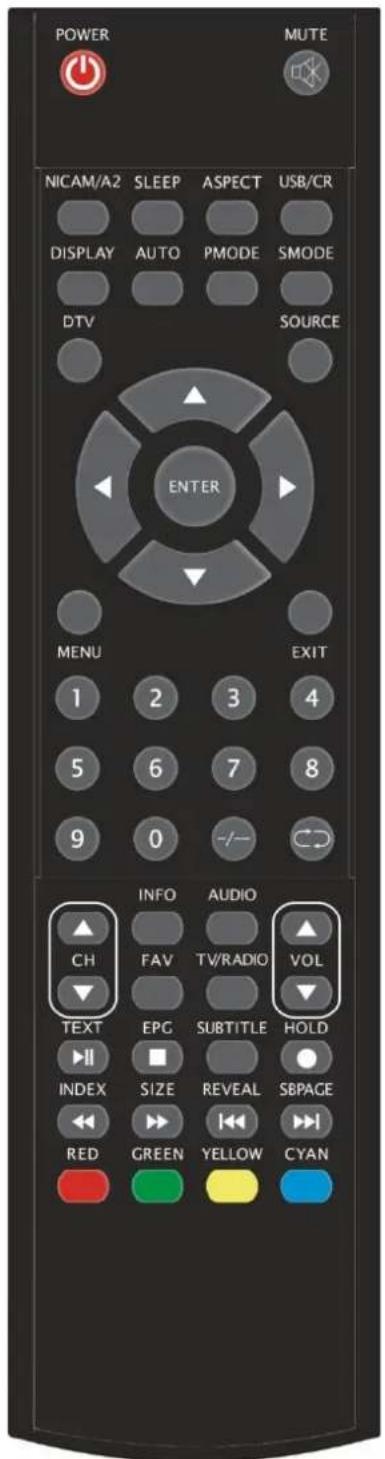 Ricatech RLEDTV24 - Fernbedienung - 1
