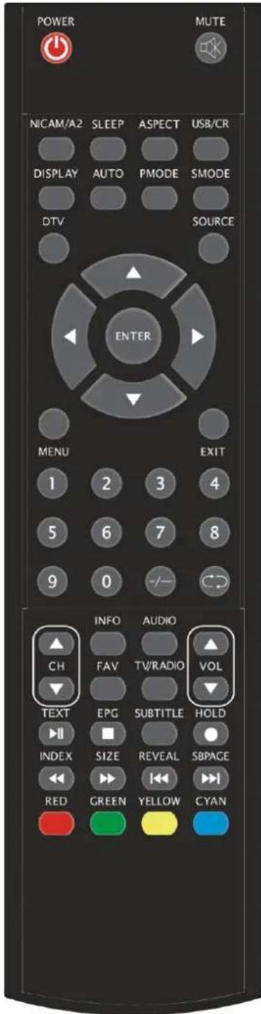 Ricatech RLEDTV24 - Remote control - 1