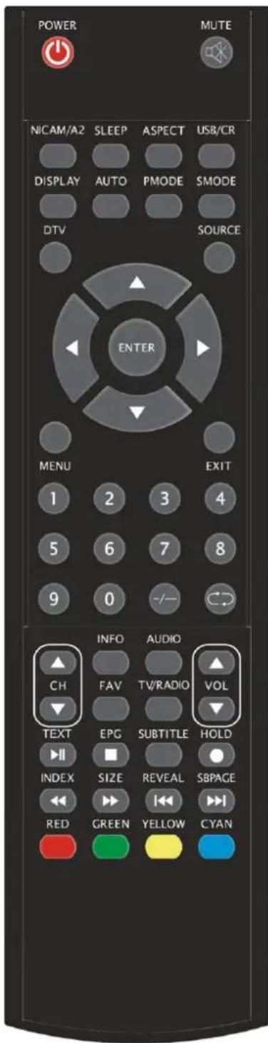 Ricatech RLEDTV24 - Télécommande - 2