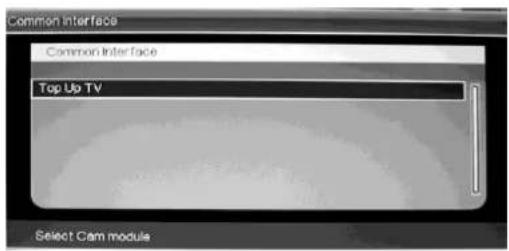 Ricatech RLEDTV24 - Fonction CI (optionnel) - 1